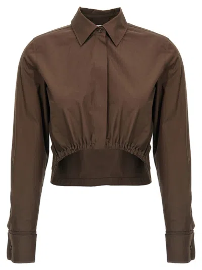 Max Mara Cropped Collared Shirt Elasticated Hem In Brown