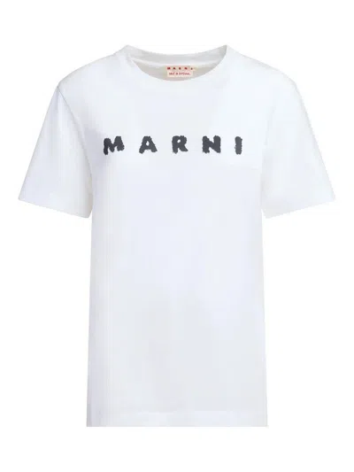 Marni Jersey Logo Short Sleeved T-shirt In White