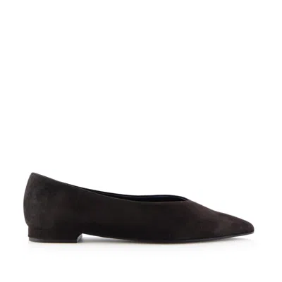 Notabene Ginevra Suede Ballerina In Brown