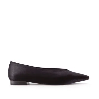 Notabene Ginevra Pointed-toe Ballerina In Brown