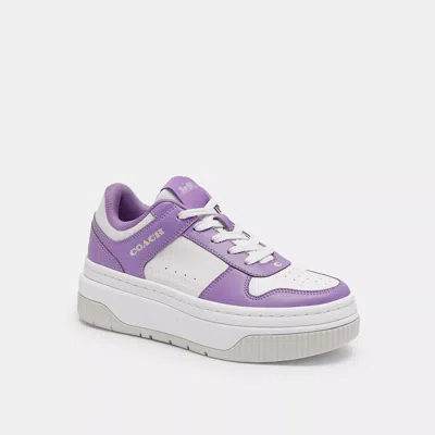 Coach Platform Sneaker In Purple