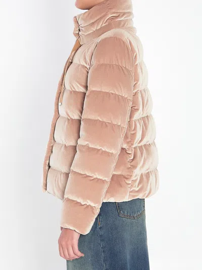 Herno Quilted Velvet Drawstring High Collar Jacket In Gold