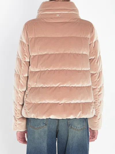 Herno Quilted Velvet Drawstring High Collar Jacket In Gold