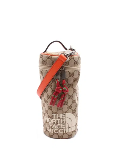 Pre-owned Gucci × The North Face 2010s Gg Canvas Handbag In Neutral