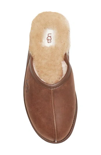 Ugg Scuff Suede Slippers In Beige