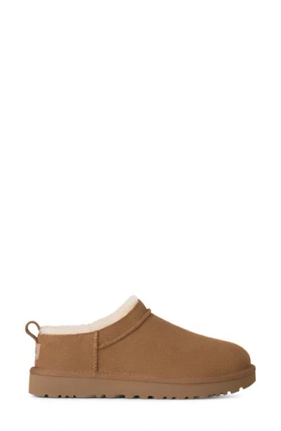 Ugg Classic Micro Beige Ankle Boots With Logo Embossed In Suede Woman In Brown