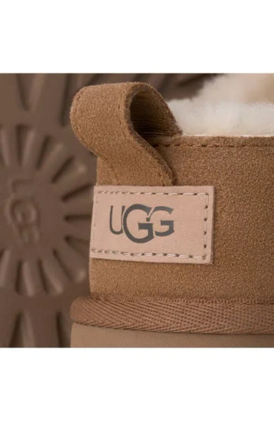 Ugg Classic Micro Beige Ankle Boots With Logo Embossed In Suede Woman In Brown