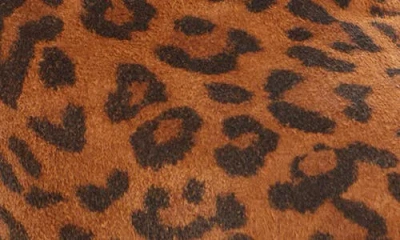 Isabel Marant Dalby Tasseled Leather-trimmed Leopard-print Suede Ankle Boots In Brown