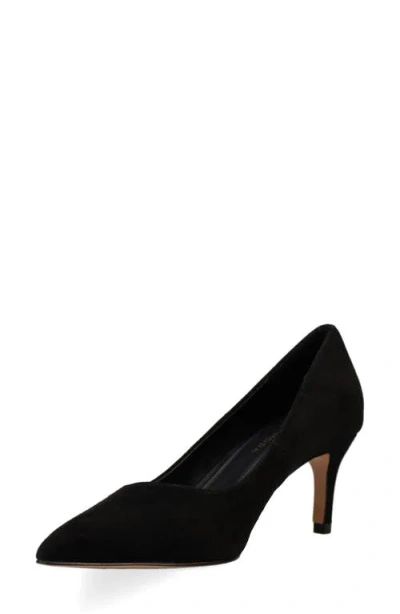 Pelle Moda Lailoni Pointed Toe Pump In Black