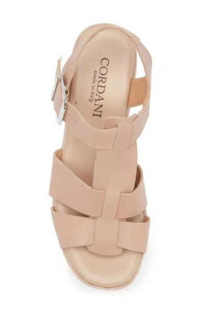 Cordani Jordynn Ankle Strap Platform Wedge Sandal In Pink