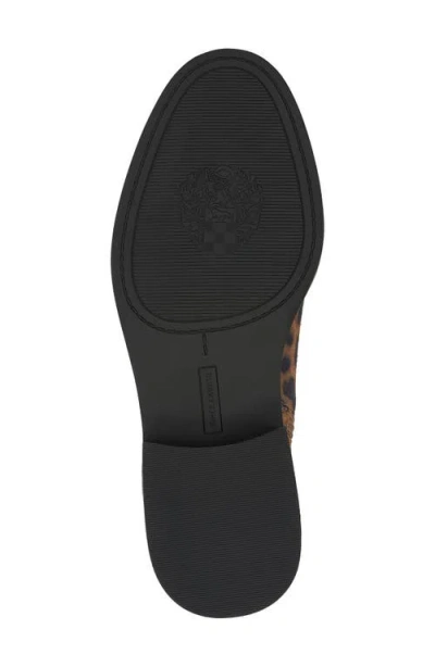 Vince Camuto Amais Moto Bootie In Animal Print