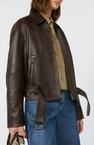 Weekend Max Mara Nappa Leather Biker Jacket In Brown