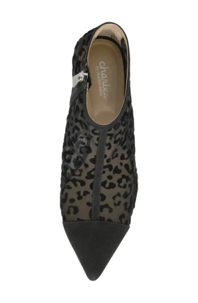 Charles By Charles David Abena Pointed Toe Bootie In Black