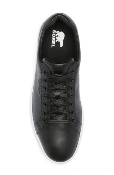 Sorel Men's Cyprus Waterproof Sneaker In Multi