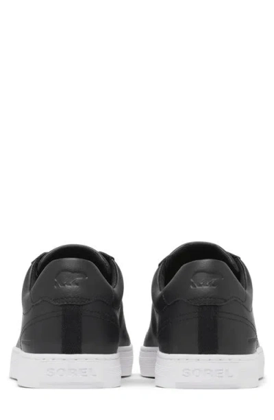 Sorel Men's Cyprus Waterproof Sneaker In Multi