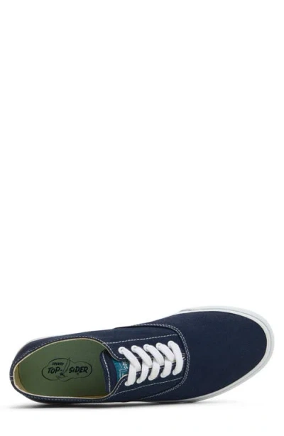 Sperry Classic Cvo Sneakers Navy In Blue