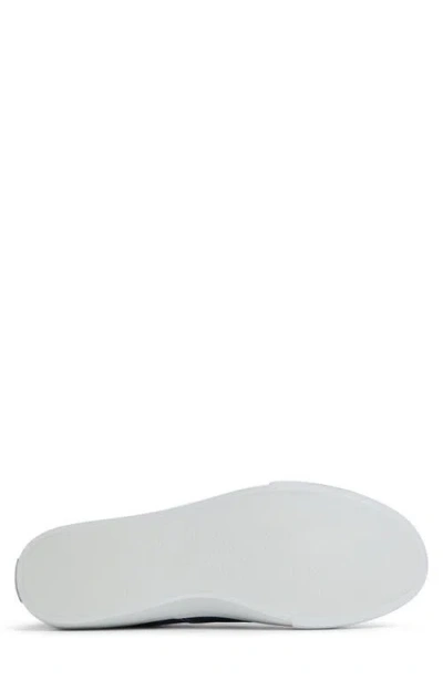 Sperry Classic Cvo Sneakers Navy In Blue