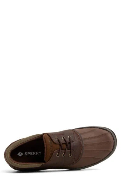 Sperry Cold Bay Duck Boot In Brown