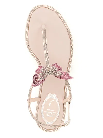 René Caovilla 'fairy' Sandals In Pink