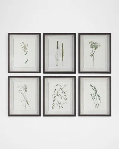 The Uttermost Co Forest Finds Framed Botanical Prints, Set Of 6 In Green
