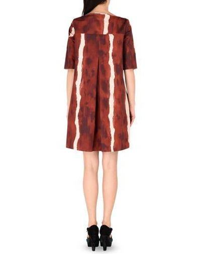 Shop Marni In Maroon