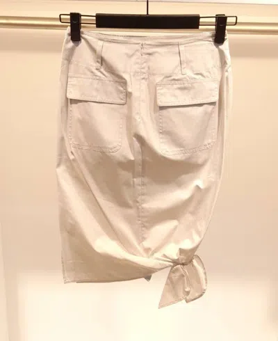 Max Mara Belt Loop Skirt In Brown
