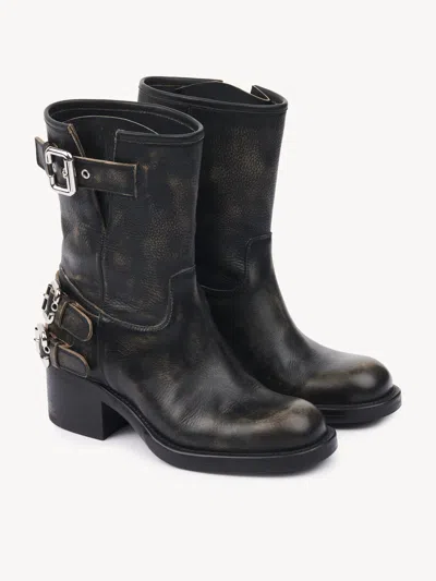 Chloé Dakota Ankle Boots In Black
