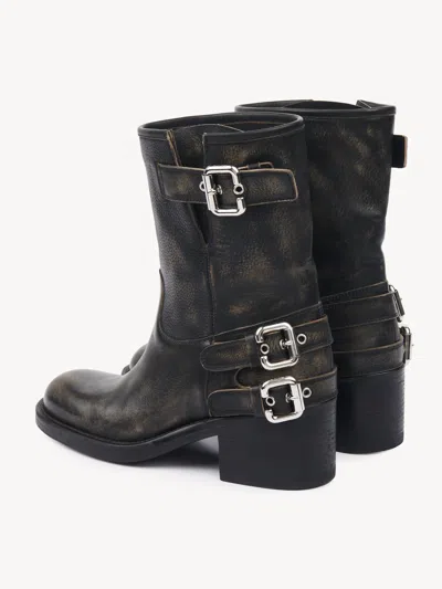 Chloé Dakota Ankle Boots In Black