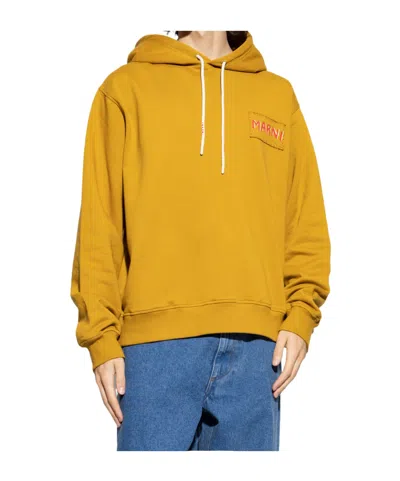 Marni Mustard Cotton Sweatshirt In Yellow