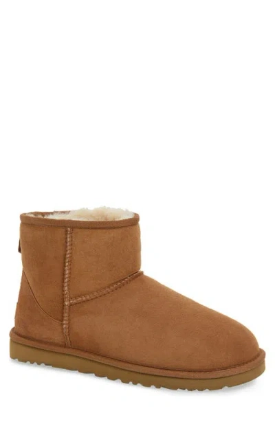 Ugg Classic Mini Ii Boots In Chestnut