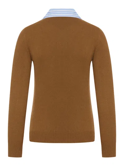 Miu Miu Cashmere Cardigan With Detachable Stripe Collar In Brown