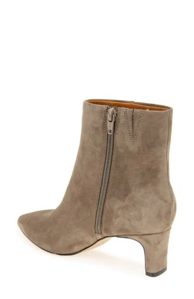 Andre Assous André Assous Winter Pointed Toe Bootie In Brown