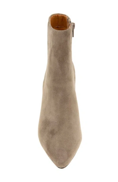 Andre Assous André Assous Winter Pointed Toe Bootie In Brown