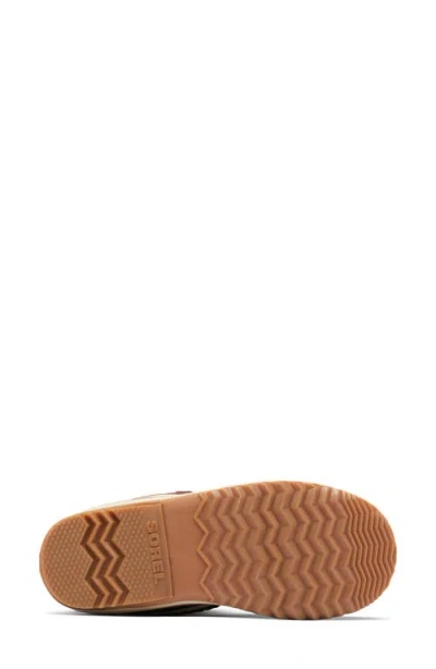 Sorel Winter Carnival Waterproof Boot In Brown