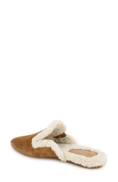 Splendid Liza Pointed Toe Mule In Multi