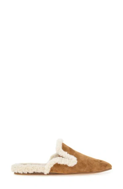 Splendid Liza Pointed Toe Mule In Multi