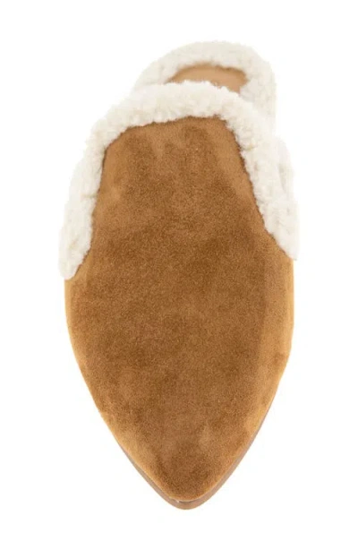 Splendid Liza Pointed Toe Mule In Multi