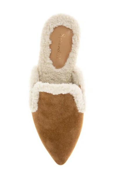 Splendid Liza Pointed Toe Mule In Multi