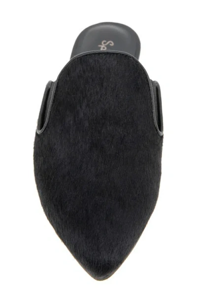 Splendid Liza Pointed Toe Mule In Black