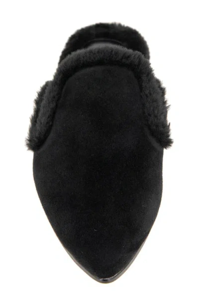 Splendid Liza Pointed Toe Mule In Black