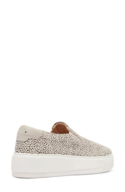 Frankie4 Maxwell Slip-on Sneaker In Multi