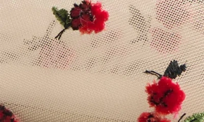 Khaite Marcy Raspberry-embroidery Ballet Flats In Multi