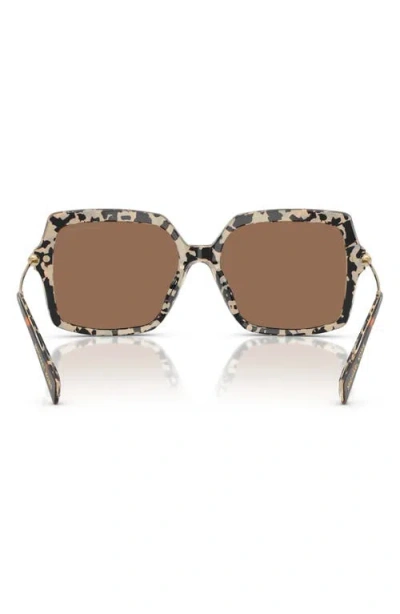 Michael Kors Woman Sunglass Mk2247u Quogue In Multi