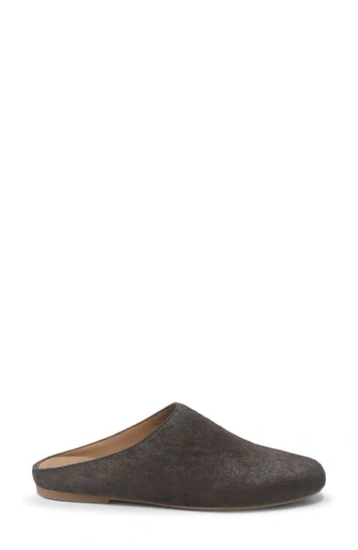 Gentle Souls Women's Wanda Slip-on Flats In Brown
