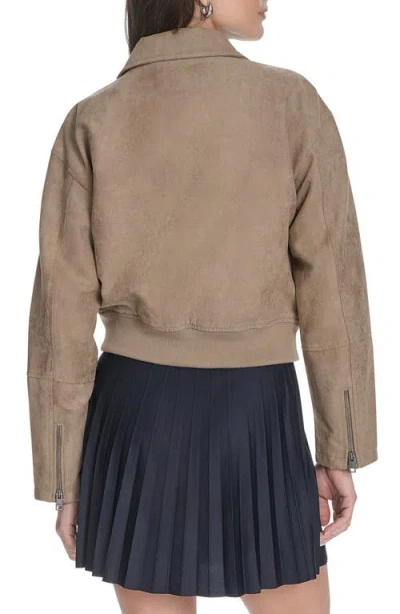 Levi's Women's Regular Faux Suede Bomber Jacket In Brown