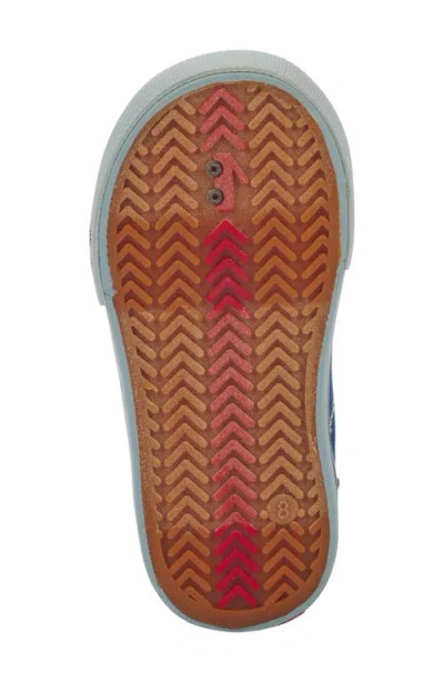 See Kai Run Waylon Sneaker In Blue