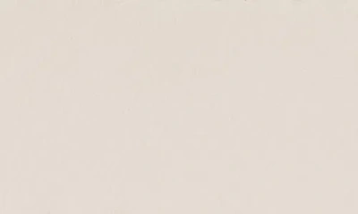 Alexander Mcqueen Mcqueen Leather Card Case In Multi