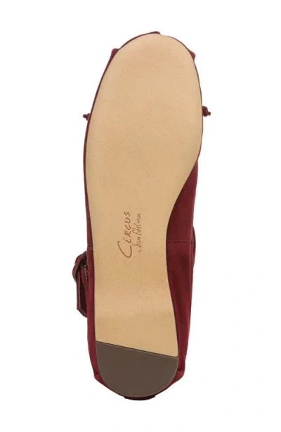 Circus Ny By Sam Edelman Women's Zuri Crossband Ballet Flats In Burgundy