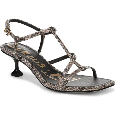 Circus Ny By Sam Edelman Women's Jaida Strappy Mid-heel Dress Sandals In Multi