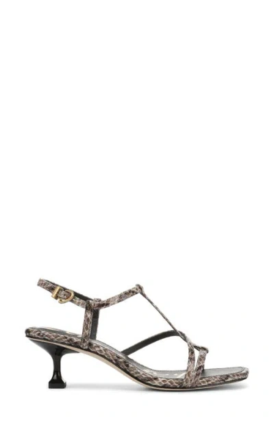 Circus Ny By Sam Edelman Women's Jaida Strappy Mid-heel Dress Sandals In Multi